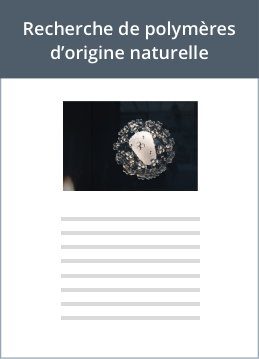 umi-fiche-innovation-leader-cosmetique